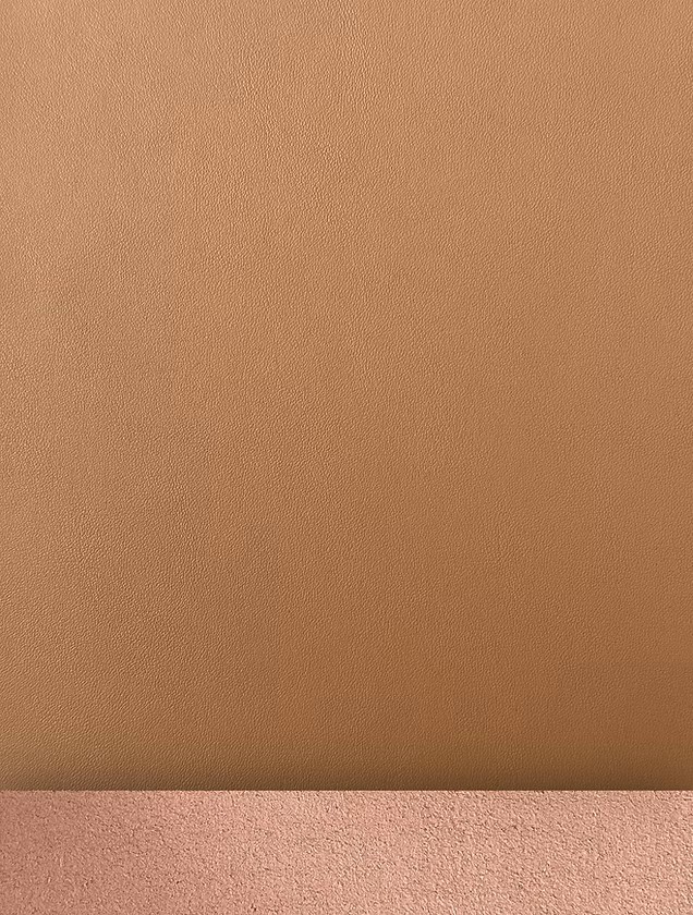 皮革图片9